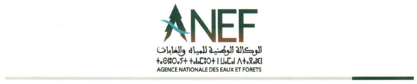 Logo DPANEF